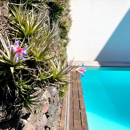 Oliveira House Villa