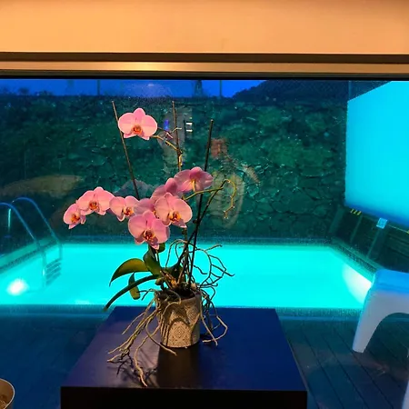 Villa Oliveira House *