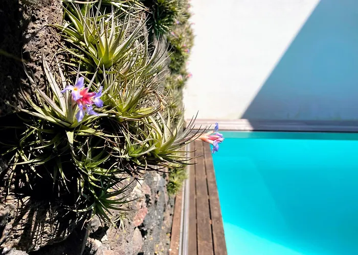 Oliveira House Villa