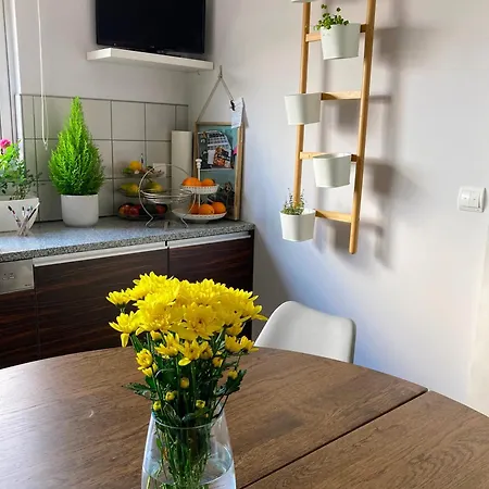 Willa Oliveira House