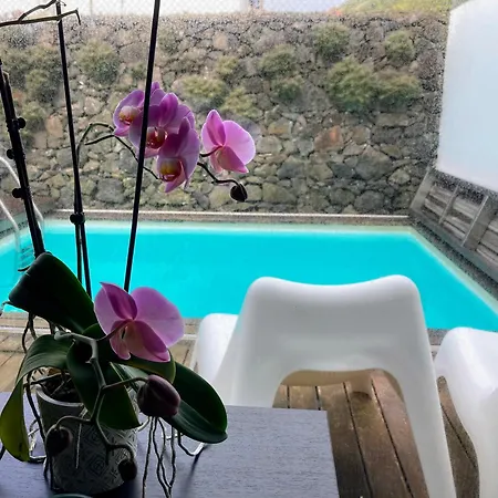 Oliveira House Villa *