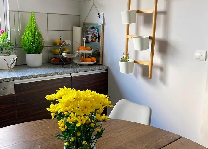 Willa Oliveira House