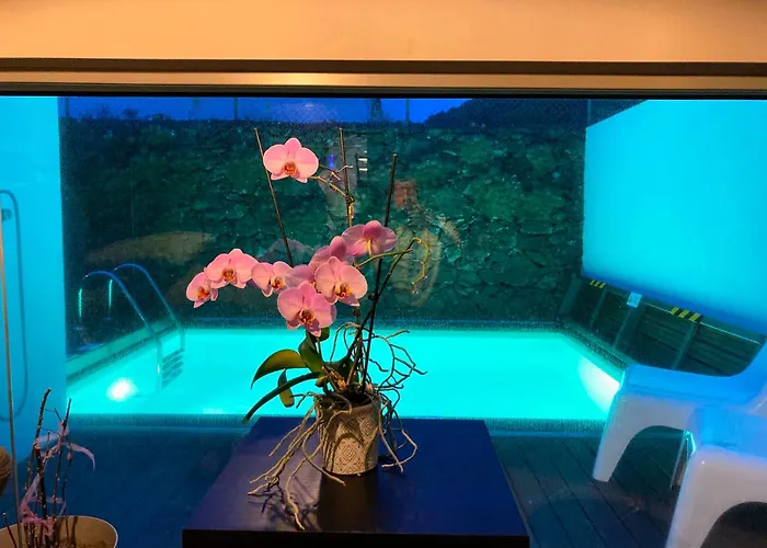 Willa Oliveira House *